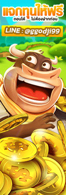 ผู้สนับสนุน